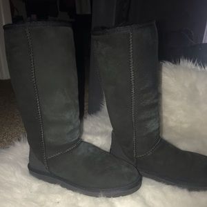 Women’s Classic Tall Ugg Boots